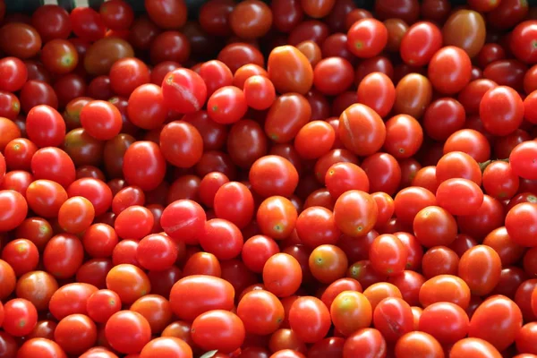Вкусные Красные Помидоры Летний Лоток Рынка Сельского Хозяйства Ферма Полная — стоковое фото