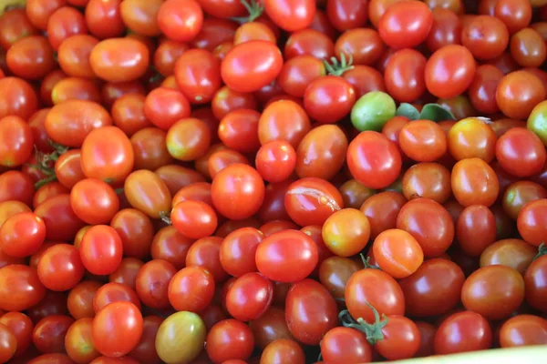 Delicious Red Tomatoes Summer Tray Market Agriculture Farm Full Organic — Stock Photo, Image