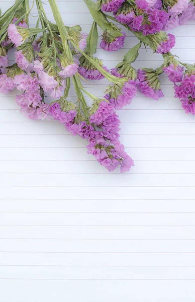 Purple flower on white open notebook, soft focus