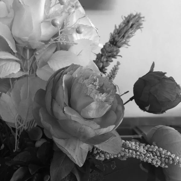 Fleur Rose Grise Pour Fond — Photo