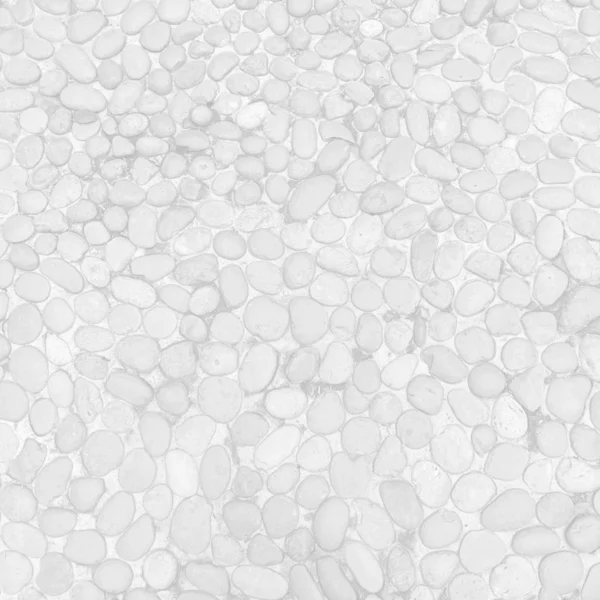 White gray stone background and texture , square — Stock Photo, Image