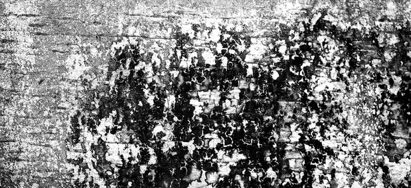 Grunge Negro Blanco Abstracto Angustia Fondo Textura —  Fotos de Stock