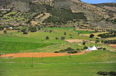 Beyaz Şapel alanında, Naxos Island, Yunanistan