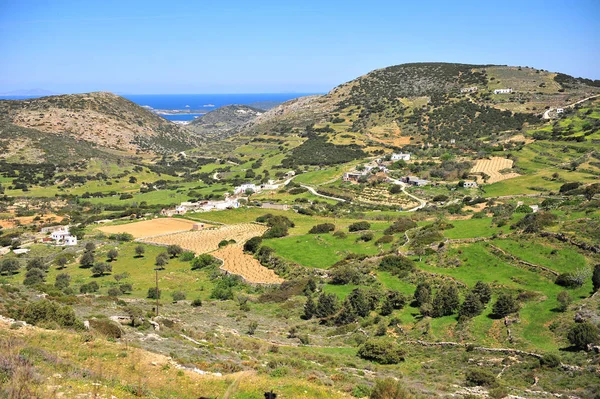 Paisagem Grega Tradicional Ilha Naxos Cycaldes — Fotografia de Stock