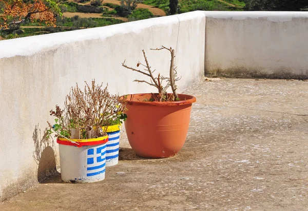 Barevné Květináče Státní Vlajka Řecka — Stock fotografie