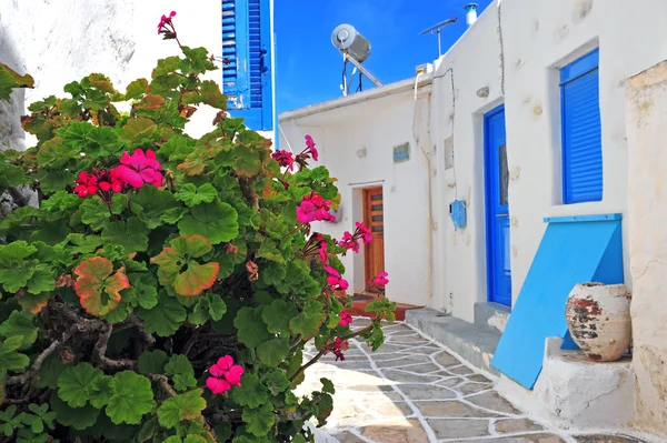 Flores Rua Pequena Cidade Grega Ilha Paros — Fotografia de Stock