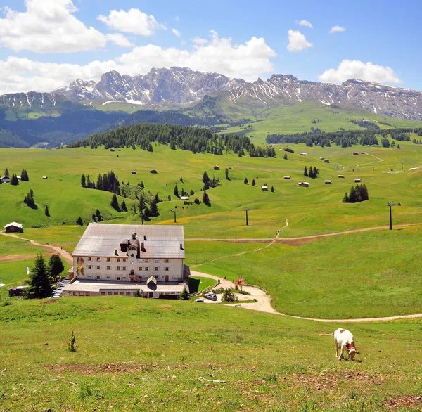 Natural Summer Landscape Dolomites Italian Alps — Stock Photo, Image