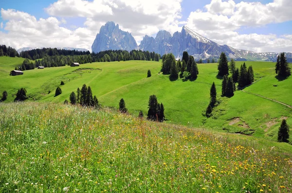 Dolomites 이탈리아의 — 스톡 사진