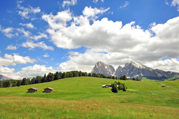 Csodálatos Völgy Közelében Ortisei Dolomitok Olaszország — Stock Fotó