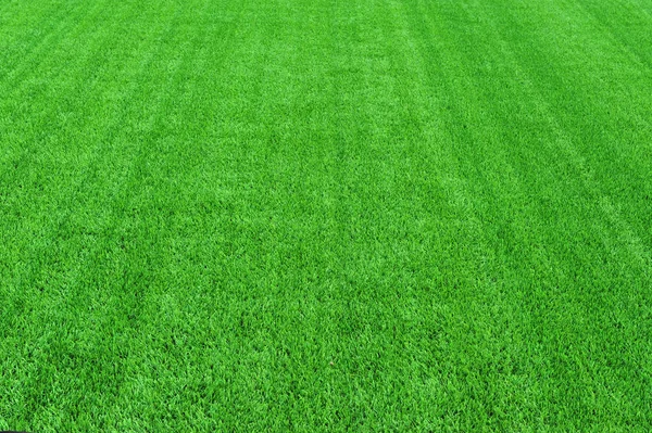 Green grass of the football arena background