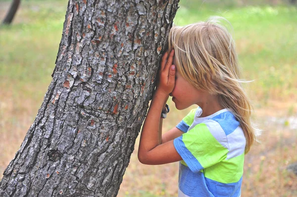 Klein Kind Spelen Verstoppertje Boom — Stockfoto