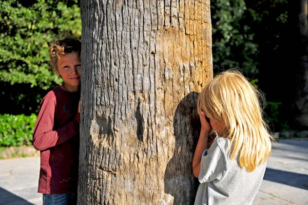 Deux Enfants Jouent Cache Cache Grand Arbre Dans Parc Été — Photo