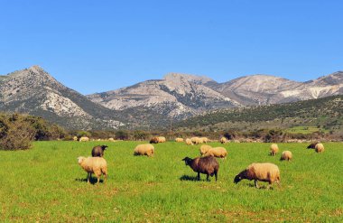 Meteora manastır iki dağ, Yunanistan arasında doğal görünümü