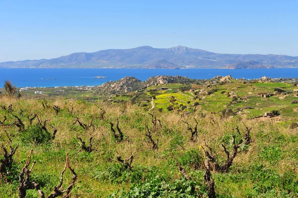 美しい地中海の景色をナクソス島 ギリシャ 緑の谷 山と青い海の夏景色 — ストック写真