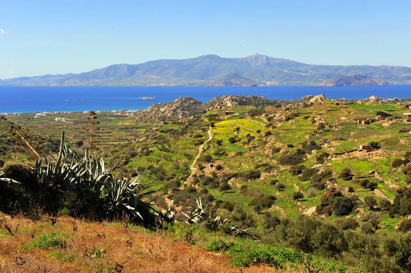 Летний Пейзаж Эгейским Морем Зелеными Холмами Лугами Острове Наксос Киклады — стоковое фото
