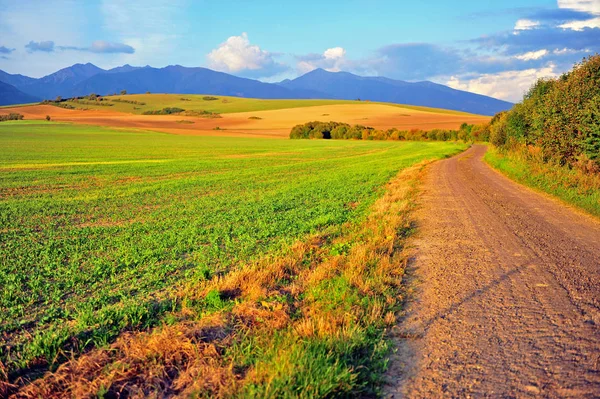 Beautiful Country Road Tatras Mountains Slovakia Scenic Summer Landscape Green — Stock Photo, Image