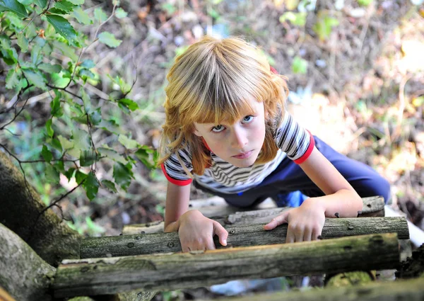 Ragazzino Che Usa Scale Legno Salire Sull Albero Vista Dall — Foto Stock