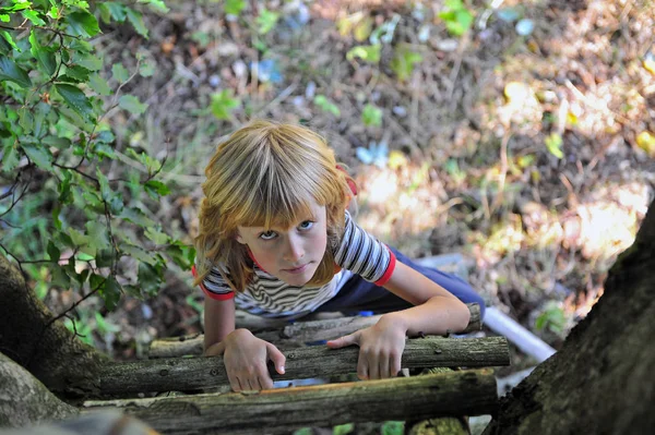 Mały Chłopiec Wspinanie Się Drzewa Przez Drewniane Schody Widok Góry — Zdjęcie stockowe