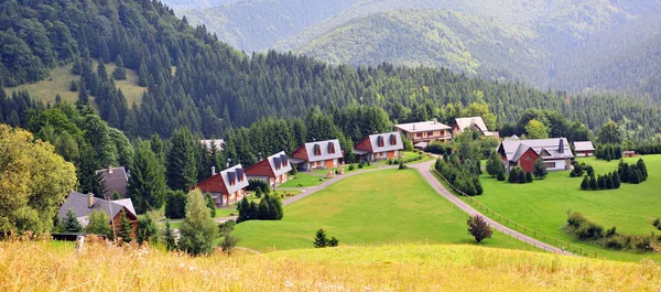 Panoráma Kis Falu Alacsony Tátra Nemzeti Parkban Szlovákiában — Stock Fotó