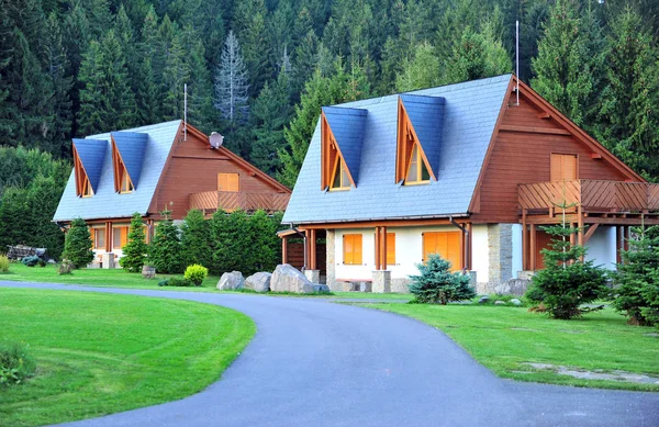 Deux Maisons Campagne Dans Village Slovaque Donovaly Tatras — Photo