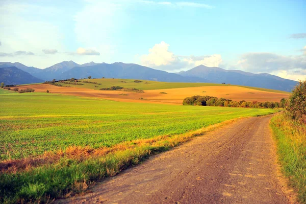 Road Green Grass Field Mountains Background Slovakia — Stock Photo, Image