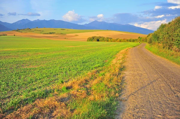 Beautiful rural landscape with a road and grass field, Slovakia