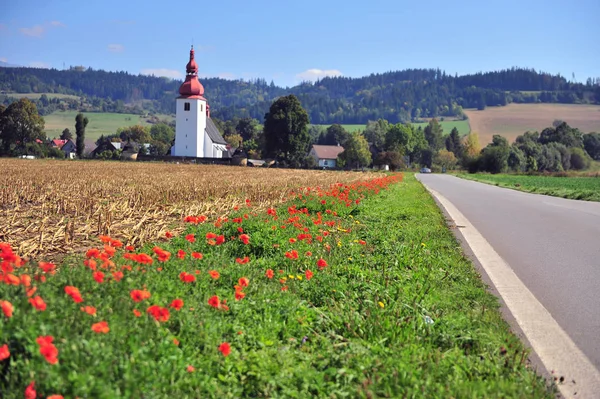 Beautiful landscape with a church and flowers, Slovakia