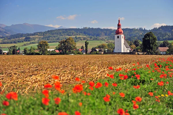 Gyönyörű Természeti Táj Kápolna Területén Szlovákia — Stock Fotó