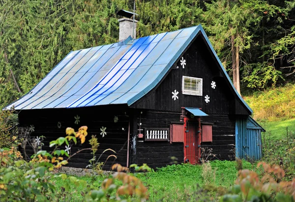 Fekete Fából Készült Ház Erdőben Szlovákia — Stock Fotó