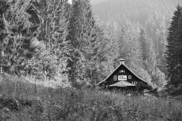 Zwart Wit Foto Van Oude Houten Huis Bos Lage Tatra — Stockfoto