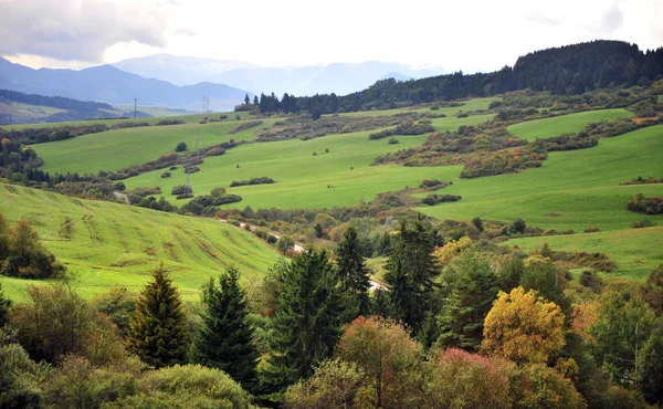 Bella Valle Verde Nel Parco Nazionale Tatra Slovacchia — Foto Stock