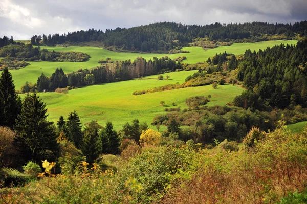 View of the green valley in Low Tatras national park, Slovakia