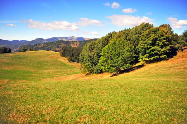 Paesaggio Naturale Con Verdi Colline Nel Parco Nazionale Tatra Slovacchia — Foto Stock