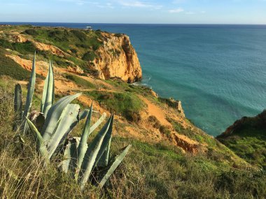 Okyanus üzerindeki kayalıklar
