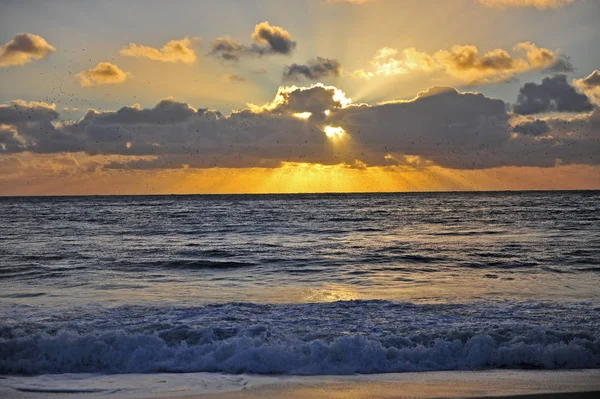 Coucher de soleil incroyable avec des oiseaux volants sur le soleil — Photo