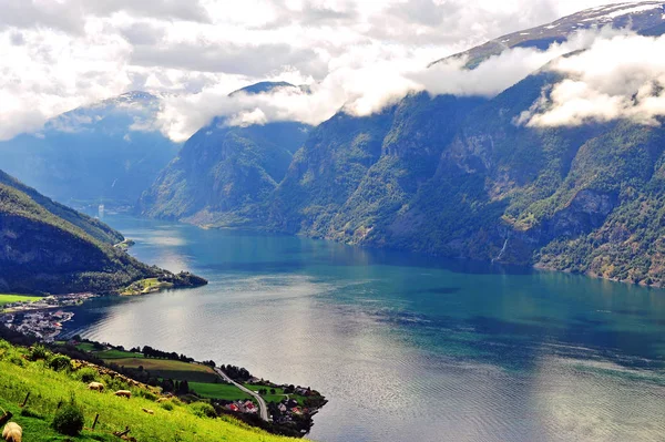 Krásný pohled na norský fjord v létě — Stock fotografie