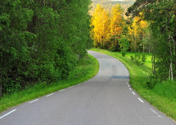 Kronkelende asfalt weg in het bos met groene en gele bomen — Stockfoto