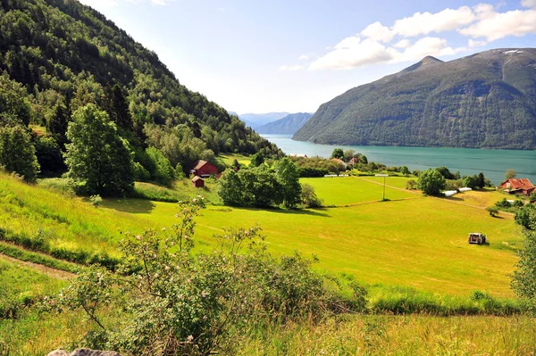Hermoso paisaje natural en los fiordos noruegos — Foto de Stock