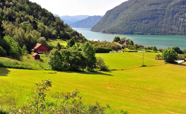 Zelené údolí s fjordem ve vesnici Ornes — Stock fotografie