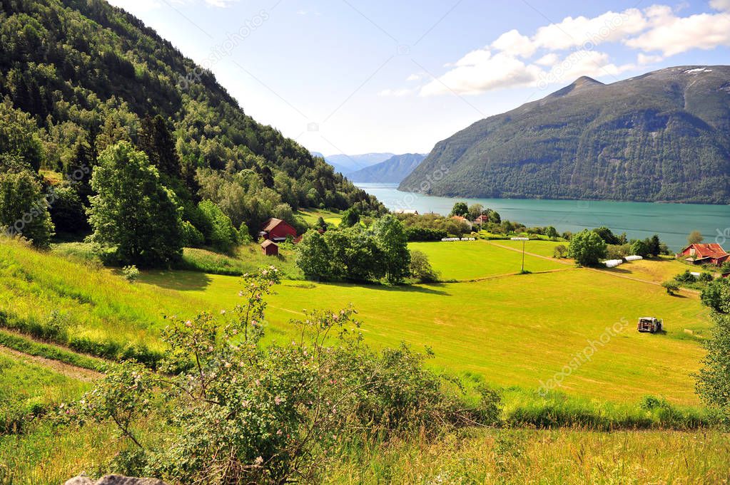 Beautiful natural landscape on norwegian fjords