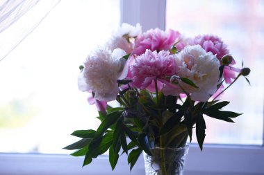 Masadaki vazoda beyaz ve pembe şakayıklar var. Büyük çiçekler evinizin bahçesinde yetişir.