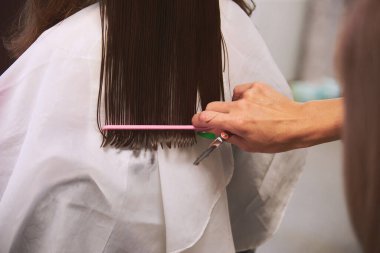 Berber dükkanında kadın tıraşı. Evrensel kesim ustası, bir tarak ve makasla kızların saçlarını bile kesiyor.