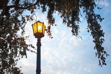 Huş ağacının yapraklarının altında mavi gökyüzüne karşı parlayan klasik sokak lambası.