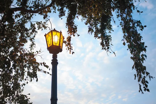 Vintage street lamp glowing yellow against the blue sky under the leaves of birch