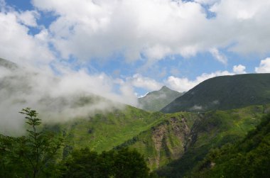        Soçi dağlarında yeşil alp çayırları,         .   .