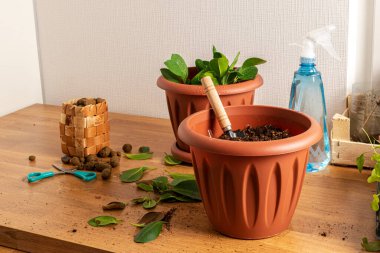 Ev bitkisini naklediyorum. Ahşap bir masada iki tencere ve bir sprey var. Kılıç toprakta.
