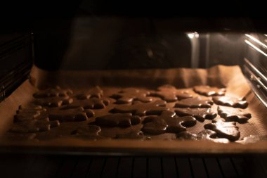 Fırında zencefilli kurabiye. Yumuşak sıcak ışık, seçici odak.