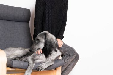 Köpekli genç Wonam, boş vakitlerinde. ev konsepti.