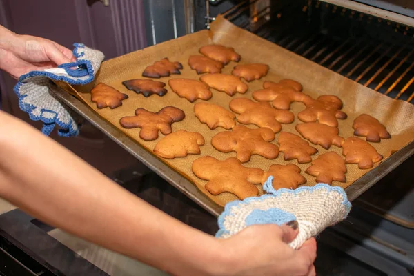 Frauenhände Holen Frische Lebkuchen Aus Dem Ofen Einer Der Schritte — Stockfoto