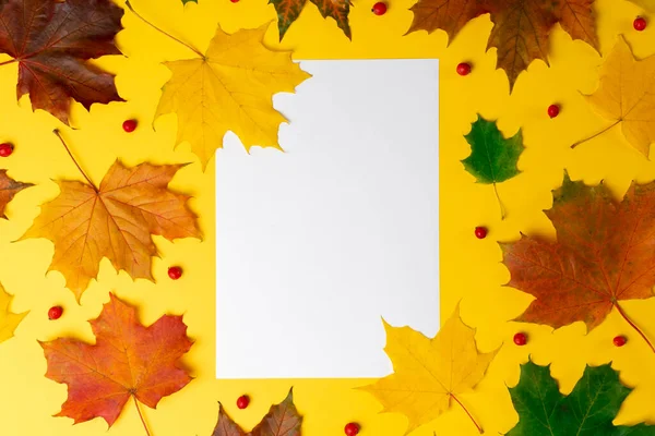 Flat Lay Autumn Fallen Leaves Yellow Background White Blank Space — Stock Photo, Image